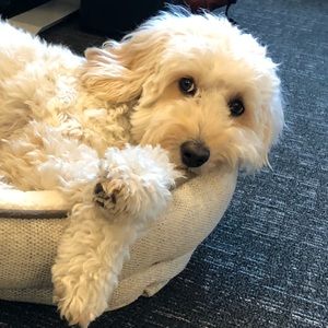 Meet your Posher, Bryan